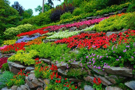  El Jardín de las Flores Celestiales: Un Sueño Floral de Intrincada Belleza y Misterio Sublime