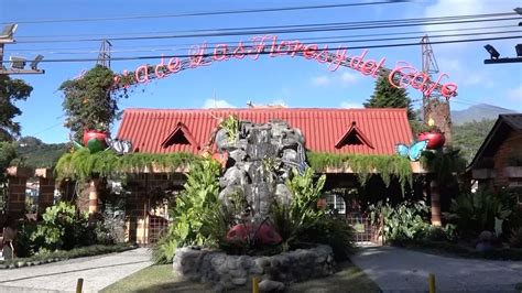  El Jardín de las Flores Milenarias ¿Un Portal a la Eternidad del Alma Vietnamita?