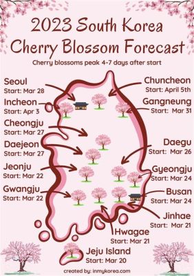 제주도 벚꽃 개화시기 2024: 바다 위의 핑크빛 꿈